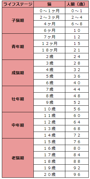 猫と人のライフステージ比較表