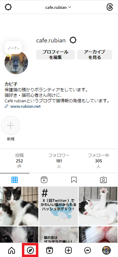 Instagramの検索欄