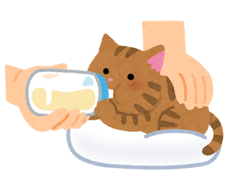 ミルクを飲む子猫